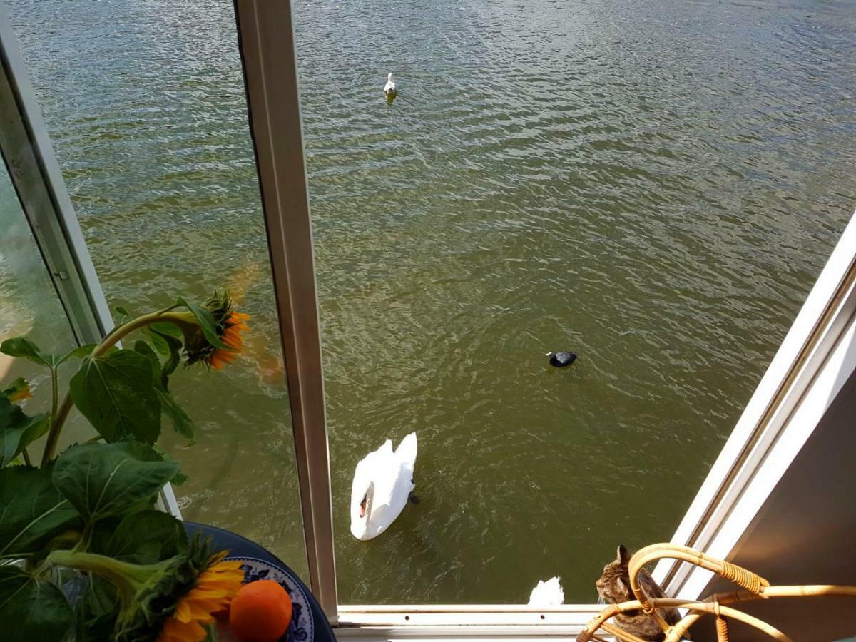 Houseboat Concordia B&B Amsterdam Eksteriør billede